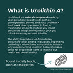 Urolithin A