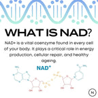 NMN Supplements