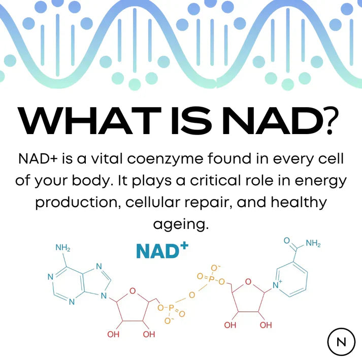 NMN Supplements