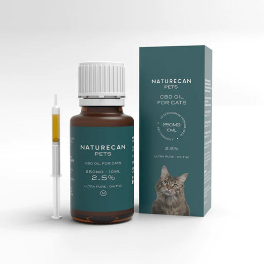CBD Oil para sa Mga Pusa