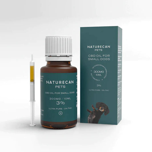 CBD Oil para sa Mga Aso